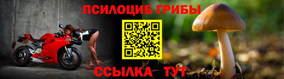 Псилоцибиновые грибы прущие грибы  Вход с VPN  Нижневартовск 